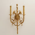 Load image into Gallery viewer, Sociapailis Brass Wall Lamp