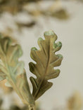 Load image into Gallery viewer, Spring Oak Tree Chandelier