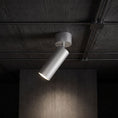 Cargar la imagen en la vista de la galería, Stanly Ceiling Spotlight Lamp