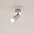 Load image into Gallery viewer, Stanly Ceiling Spotlight Lamp