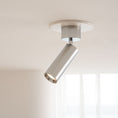 Load image into Gallery viewer, Stanly Ceiling Spotlight Lamp