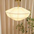 Charger l'image dans la visionneuse de la galerie, Stefanie Pleated Ceiling Lamp