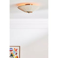Bild in Galerie-Betrachter laden, Stefanie Pleated Ceiling Lamp