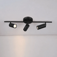 Load image into Gallery viewer, Taylor Adjustable Head Wall/Ceiling Lamp