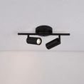 Load image into Gallery viewer, Taylor Adjustable Head Wall/Ceiling Lamp