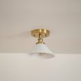 Bild in Galerie-Betrachter laden, Thetford Ceiling Lamp