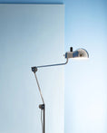 Load image into Gallery viewer, Topo Floor Lamp