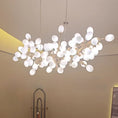 Load image into Gallery viewer, Grape Bunch Chandelier