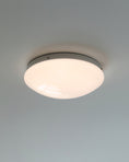 Load image into Gallery viewer, Wickes Flush Ceiling Light