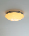 Load image into Gallery viewer, Wickes Flush Ceiling Light