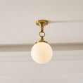 Load image into Gallery viewer, Wildwood Glass Semi-Flush Mount