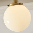 Load image into Gallery viewer, Wildwood Glass Semi-Flush Mount