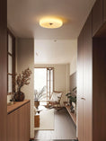 Load image into Gallery viewer, Willa Glass Flush Mount Ceiling Light