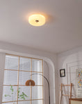 Load image into Gallery viewer, Willa Glass Flush Mount Ceiling Light