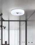 Load image into Gallery viewer, Willa Glass Flush Mount Ceiling Light