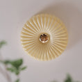 Load image into Gallery viewer, Willa Glass Flush Mount Ceiling Light