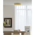 Load image into Gallery viewer, Willa Glass Flush Mount Ceiling Light