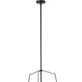 Load image into Gallery viewer, Ziggy Pendant Lamp