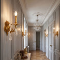 Load image into Gallery viewer, Adriana Brass Wall Lamp