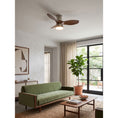 Load image into Gallery viewer, Corabelle Ceiling Fan Light