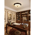 Load image into Gallery viewer, Emily Ceiling Lamp