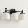 Bild in Galerie-Betrachter laden, Chart Short Arm Sconce