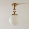 Laad afbeelding in galerij, Wildwood Glas Plafondlamp