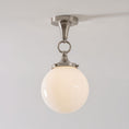 Laad afbeelding in galerij, Wildwood Glas Plafondlamp