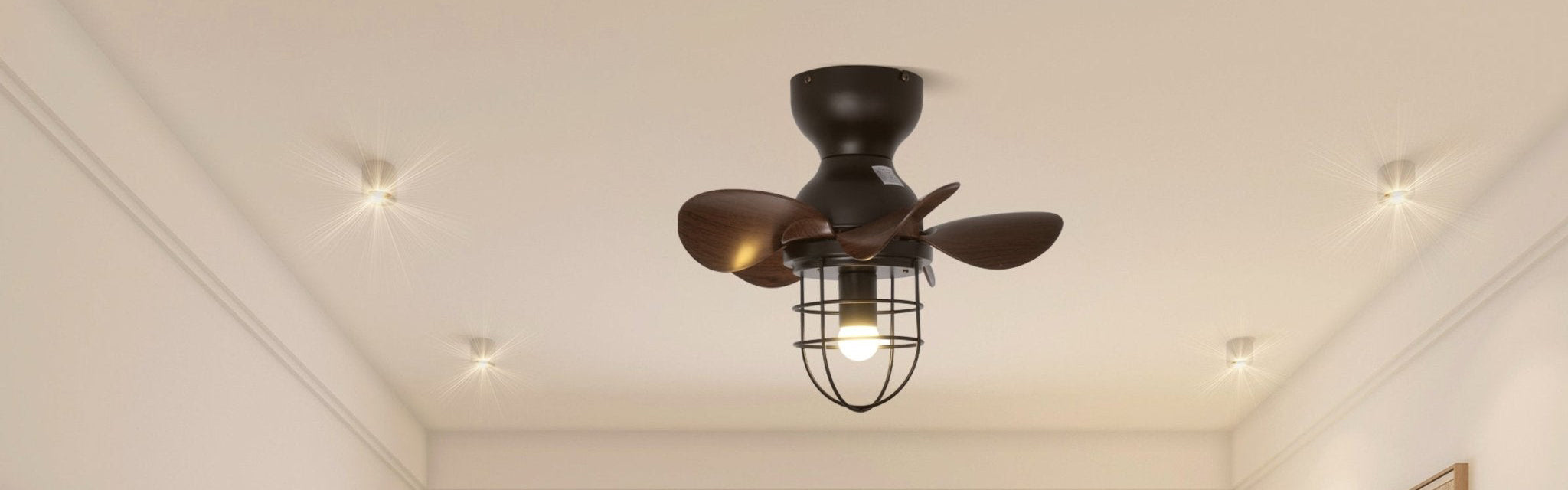 Ceiling Fan Light