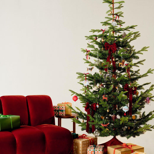 2025-radilum-Christmas-15% (35).jpg