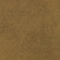 Finish 03 Antiqued Brass