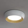 Load image into Gallery viewer, AFX Duncan Ceiling Light
