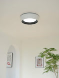 Load image into Gallery viewer, AFX Duncan Ceiling Light
