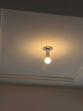Load image into Gallery viewer, Adams Flush Mount Ceiling Lamp
