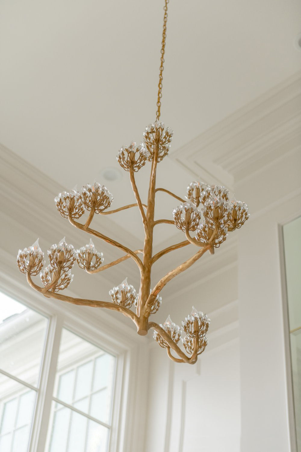 Agave Americana Chandelier