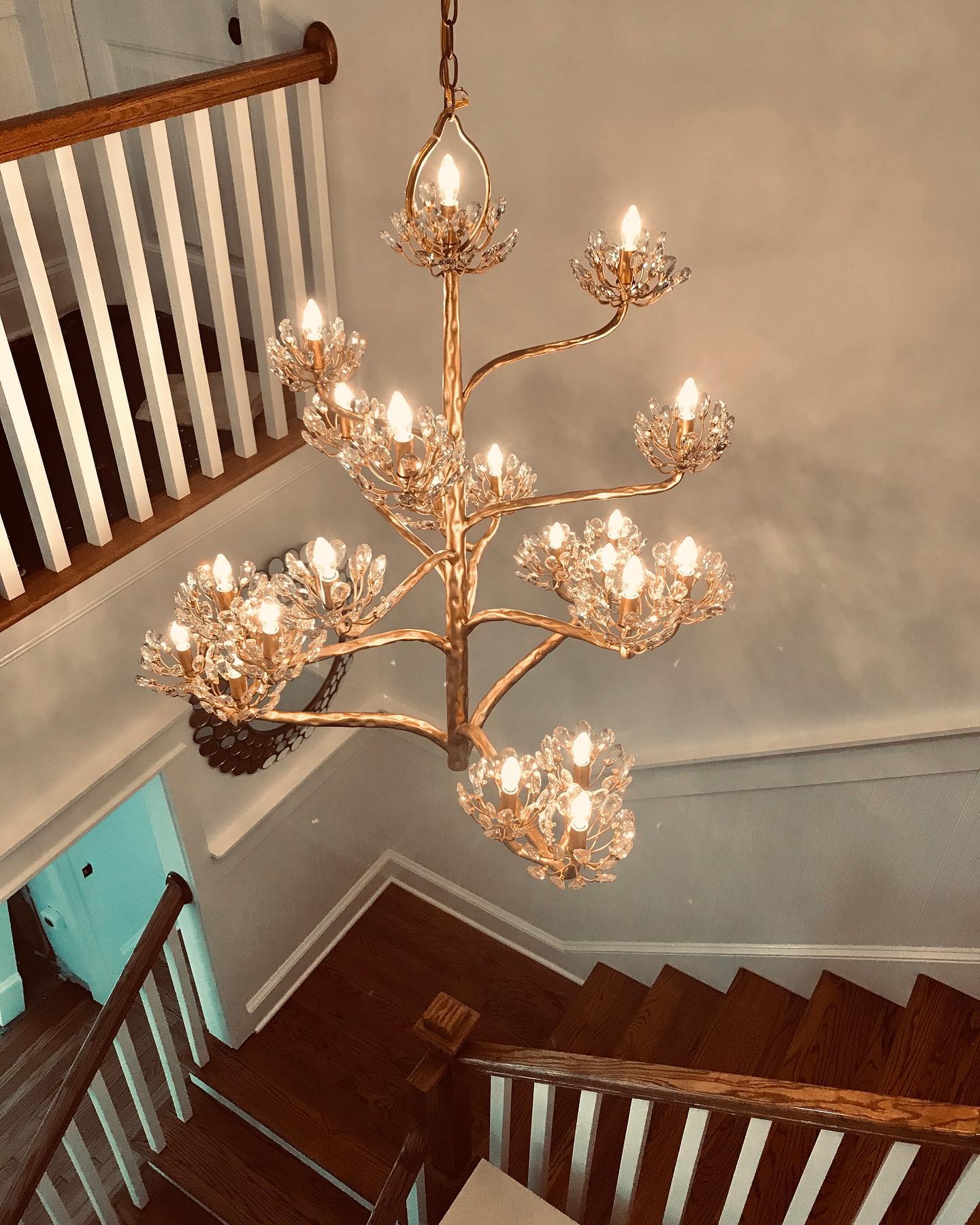 Agave Americana Chandelier