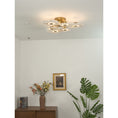 Load image into Gallery viewer, Holmdel Ceiling Lamp

