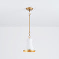 Load image into Gallery viewer, Alborg Pendant Lamp
