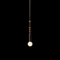 Load image into Gallery viewer, Allia Pendant Light
