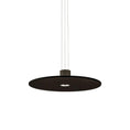 Load image into Gallery viewer, Andromeda Pendant Lamp
