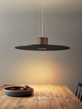 Load image into Gallery viewer, Andromeda Pendant Lamp
