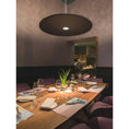 Load image into Gallery viewer, Andromeda Pendant Lamp
