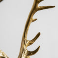 Charger l'image dans la visionneuse de la galerie, Stag Head Wall Sconce
