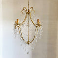 Bild in Galerie-Betrachter laden, Arcadia Chandelier
