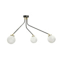 Bild in Galerie-Betrachter laden, Array Ceiling Lamp
