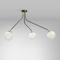 Bild in Galerie-Betrachter laden, Array Ceiling Lamp
