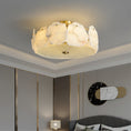 Load image into Gallery viewer, Artze Ceiling Light
