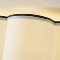 Charger l'image dans la visionneuse de la galerie, Axis Drum Ceiling Lamp
