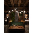 Bild in Galerie-Betrachter laden, Bird Song Branching Linear Chandelier
