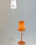 Load image into Gallery viewer, Birdie Floor Lamp
